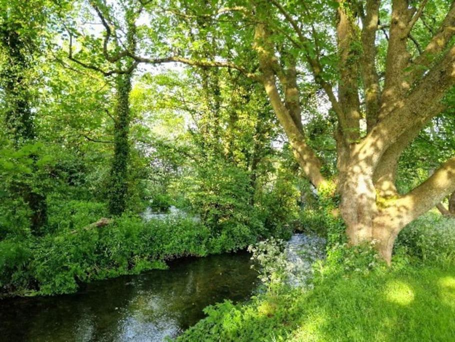 Piddle Puddle Cabin Dorchester Esterno foto