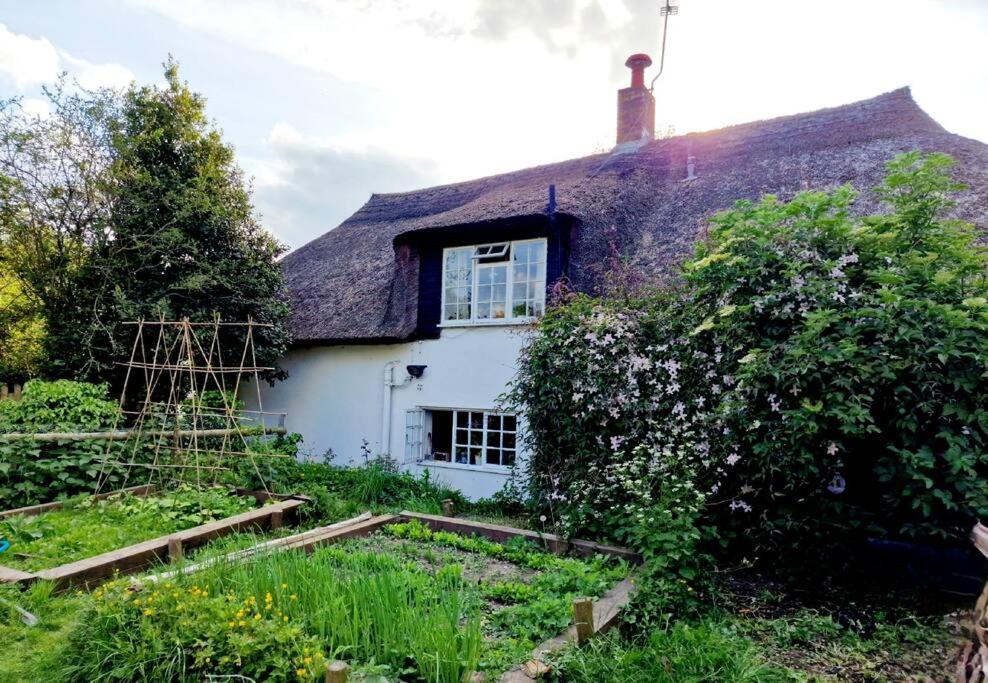 Piddle Puddle Cabin Dorchester Esterno foto